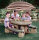 Picknickbank Picknicktisch